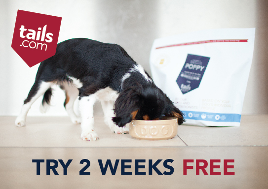 Free Puppy Food tails 2 week trial